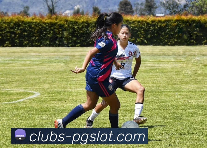 PG电子官网平台生态图